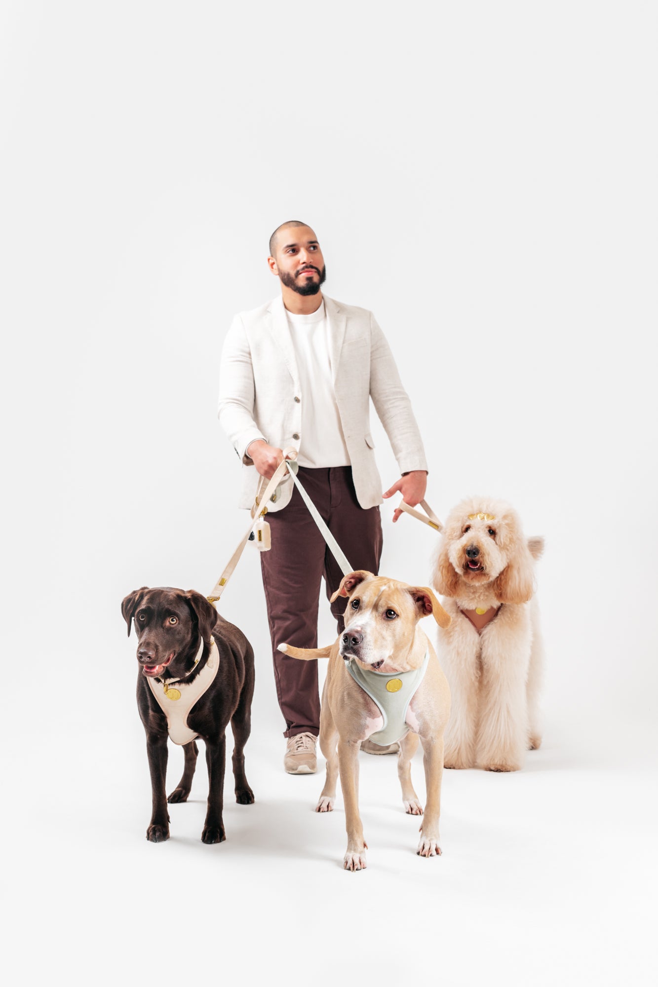 4 Tips for Socializing Your Dog