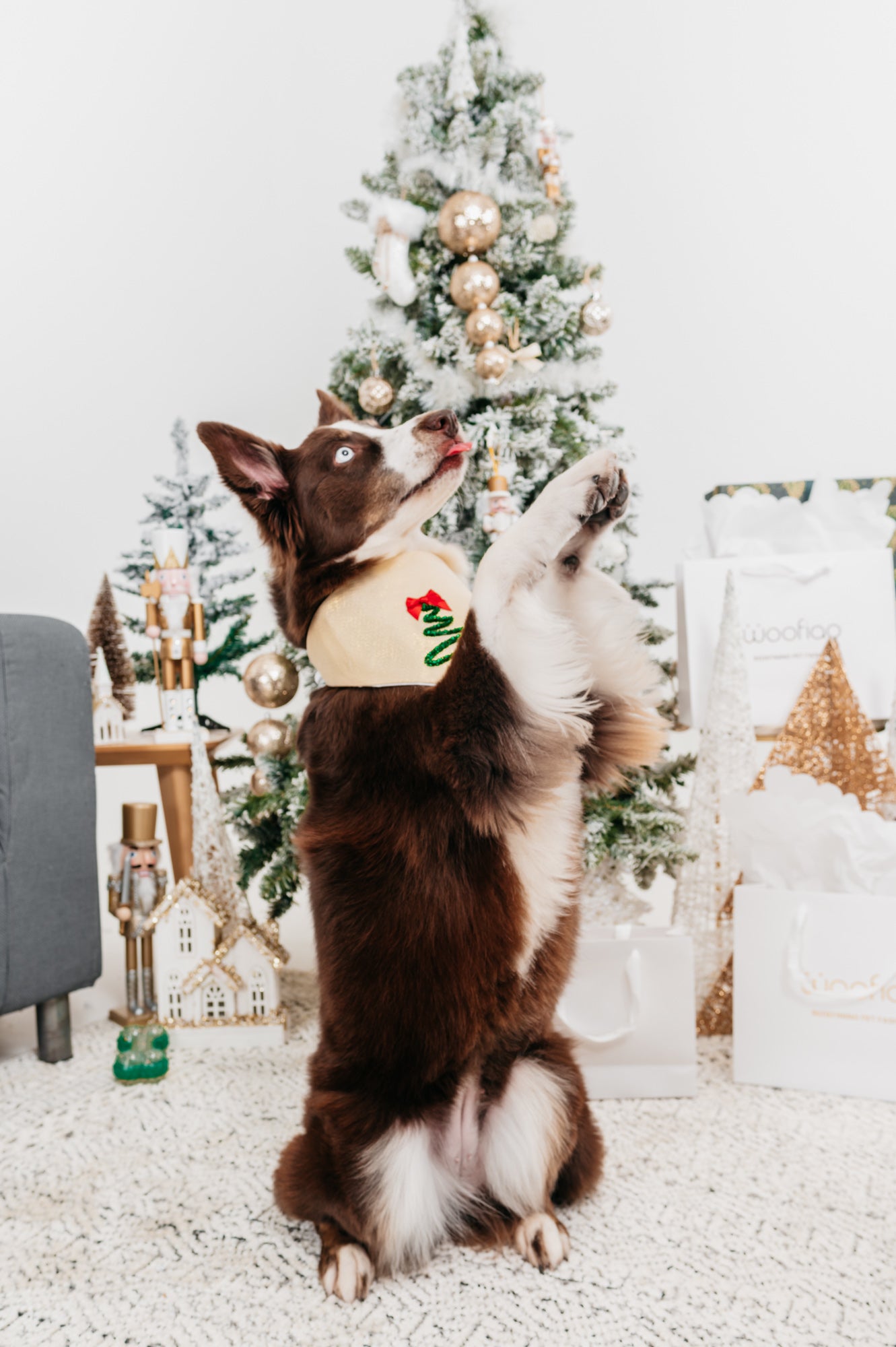 Christmas Collection