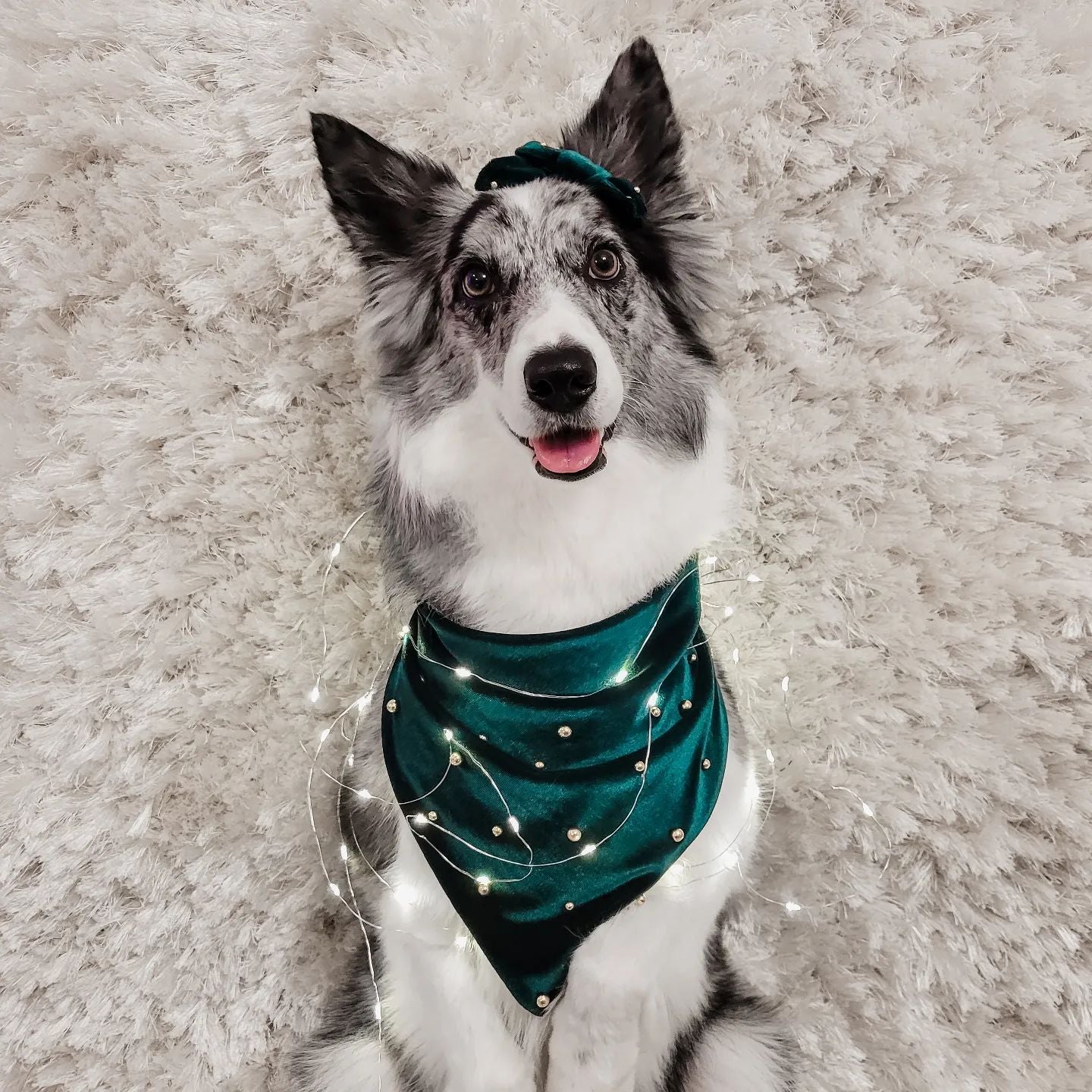 Mystery Bandana