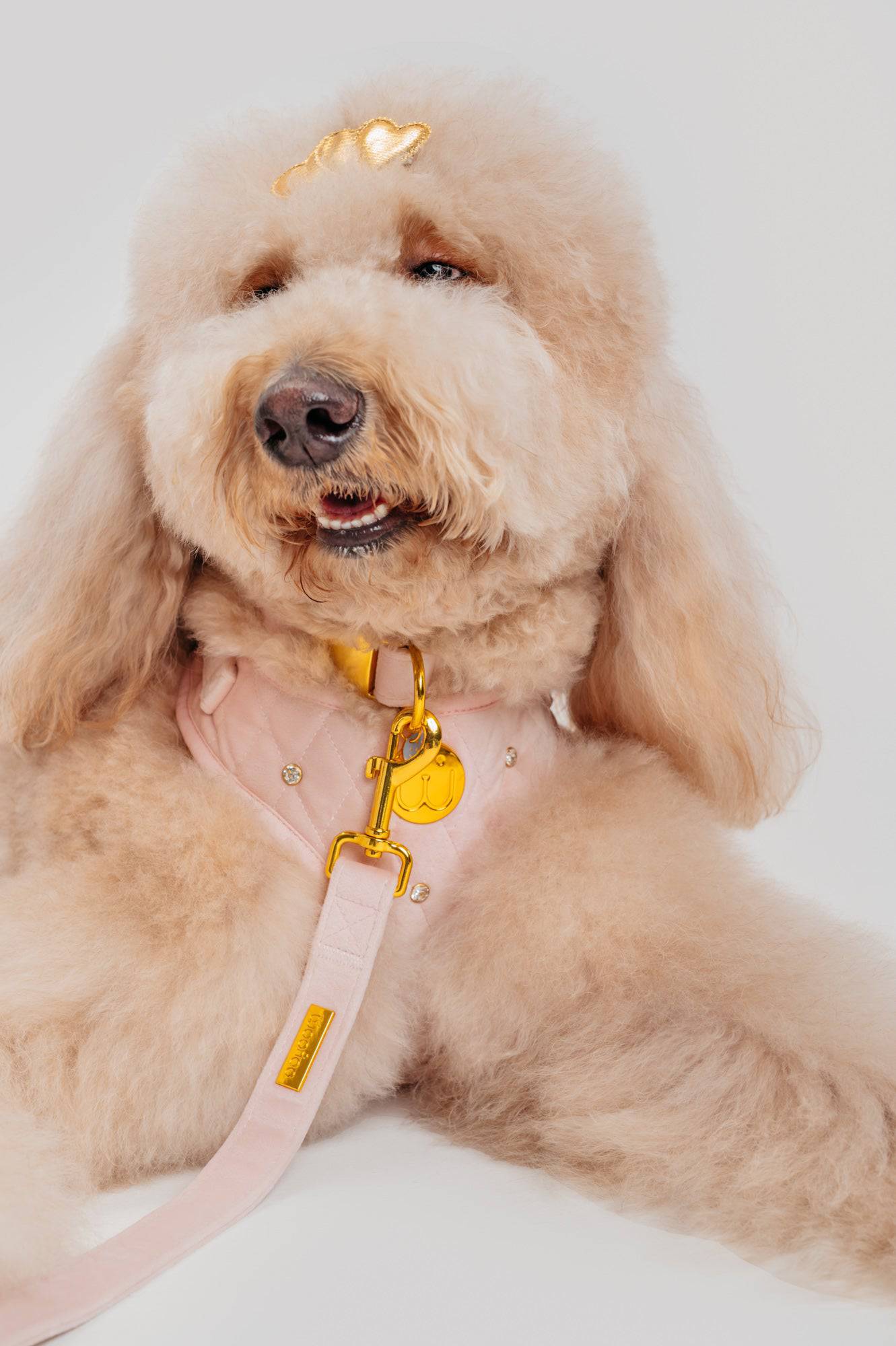 Rhinestones Cotton Pink Velvet Harness - Woofiao