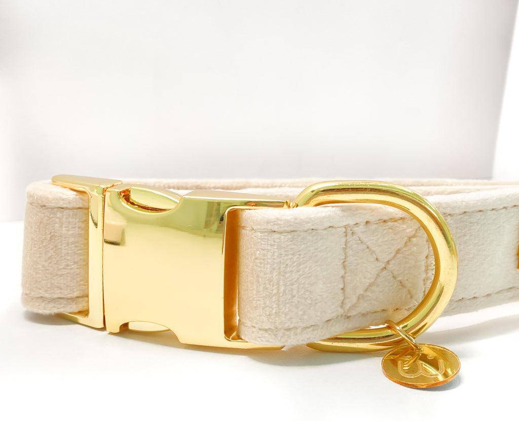 Chai Velvet Dog Collar - Woofiao