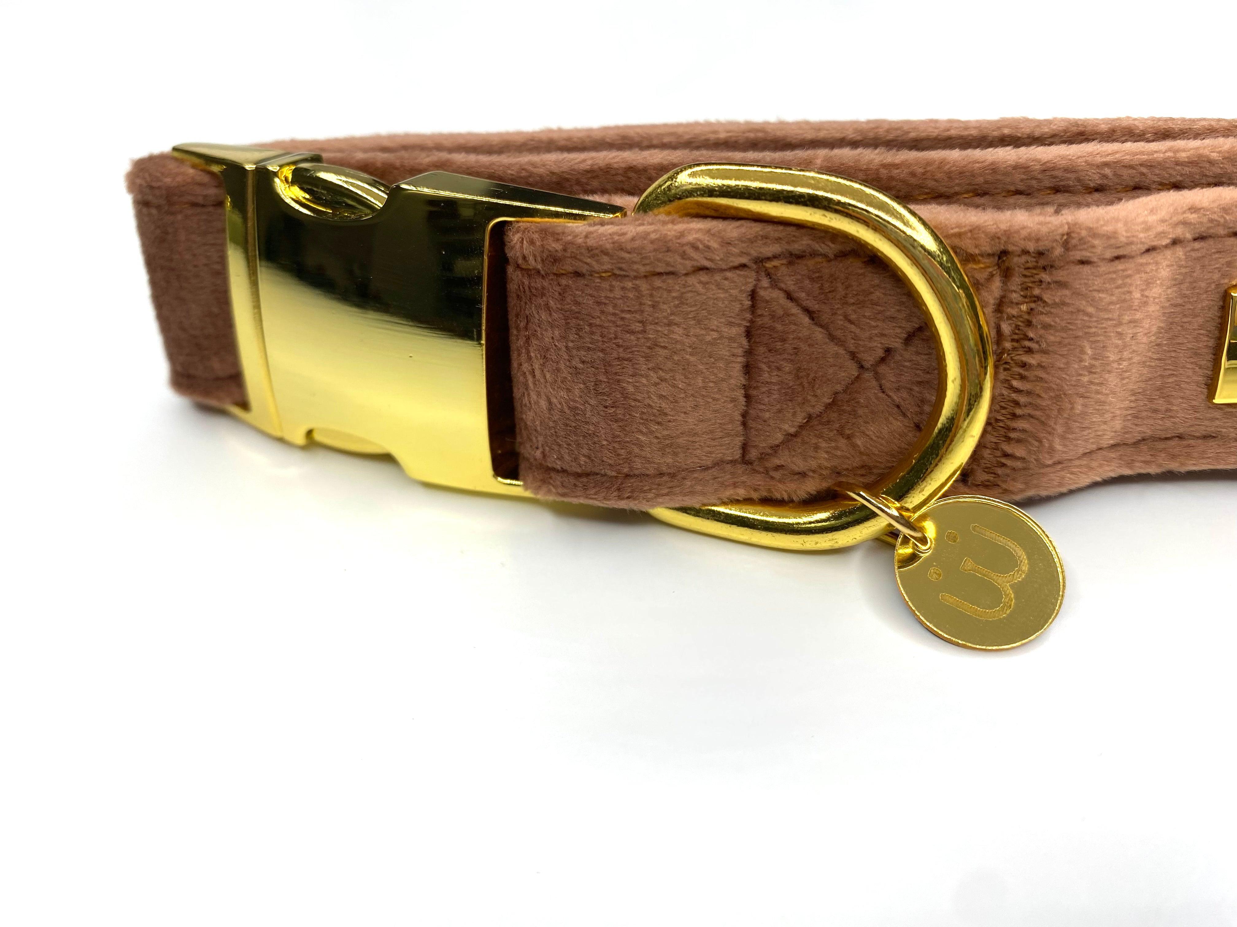 Latte Velvet Dog Collar - Woofiao