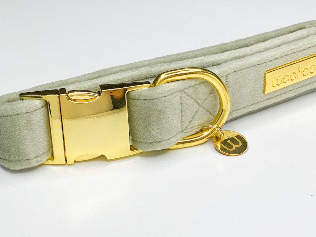 Matcha Velvet Dog Collar - Woofiao
