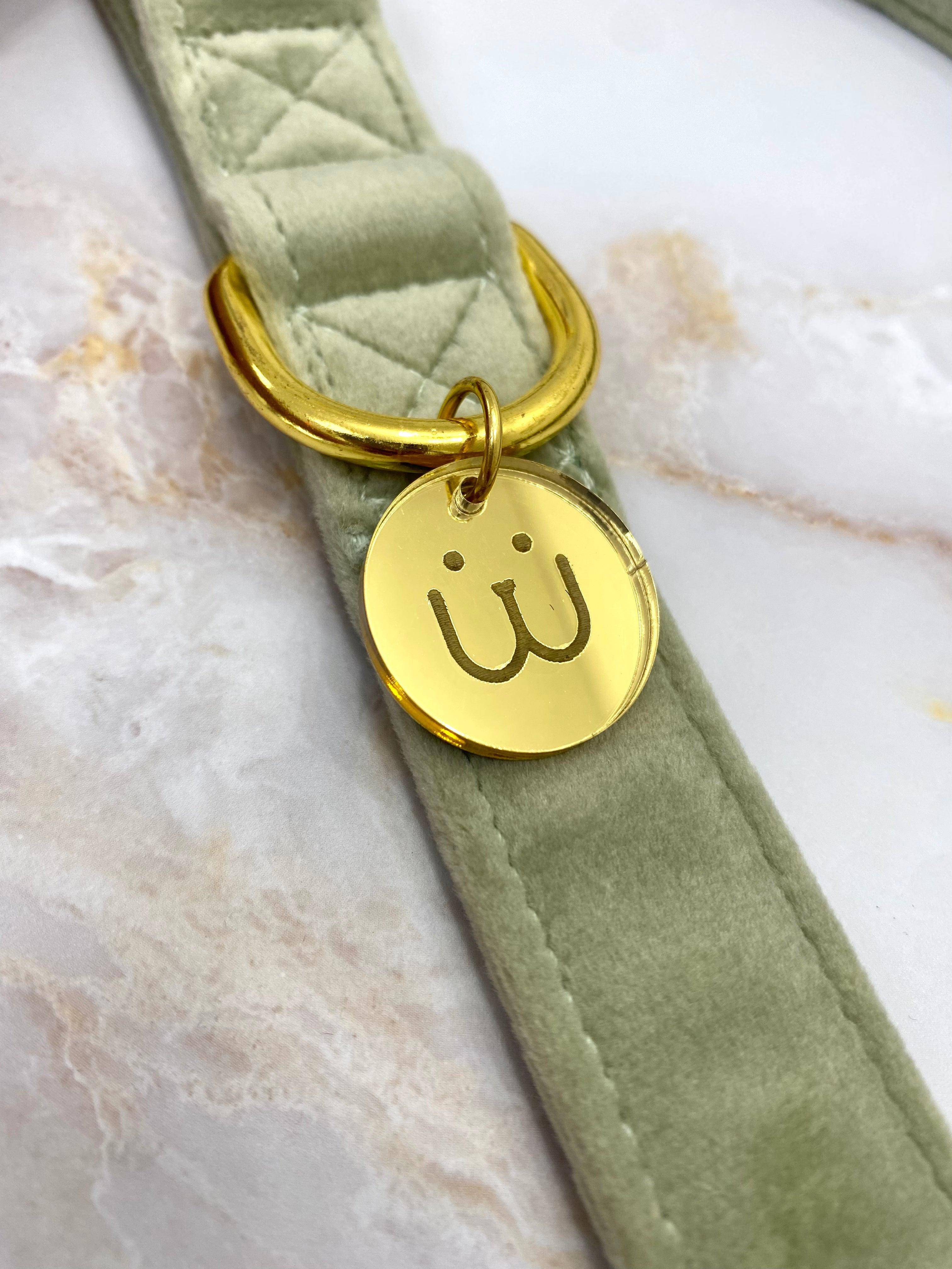 Matcha Velvet Leash - Woofiao