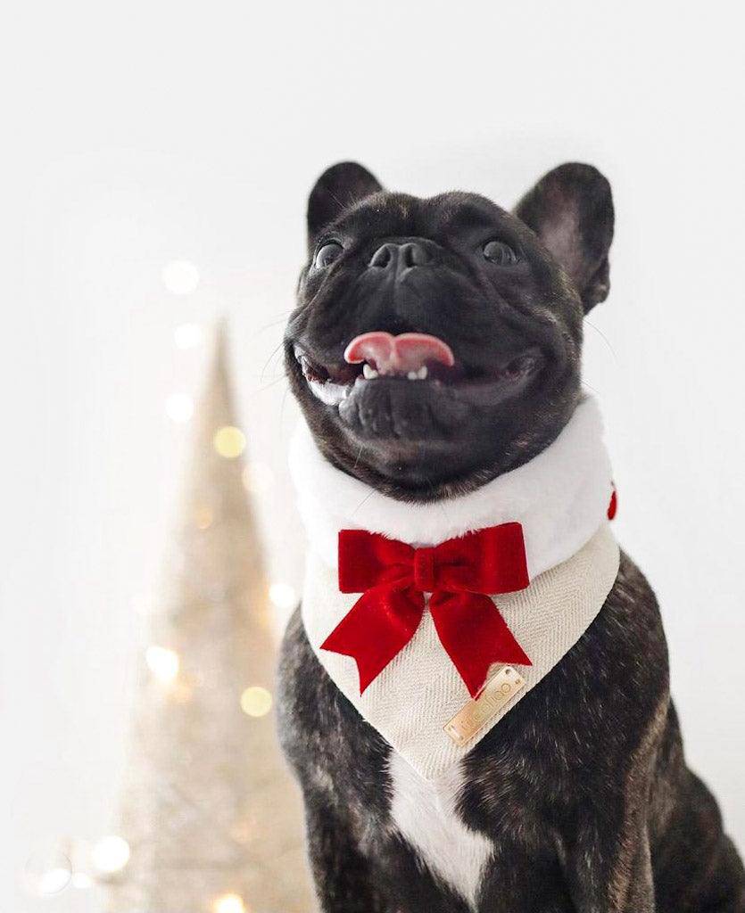 Santa Paws Bandana - Woofiao