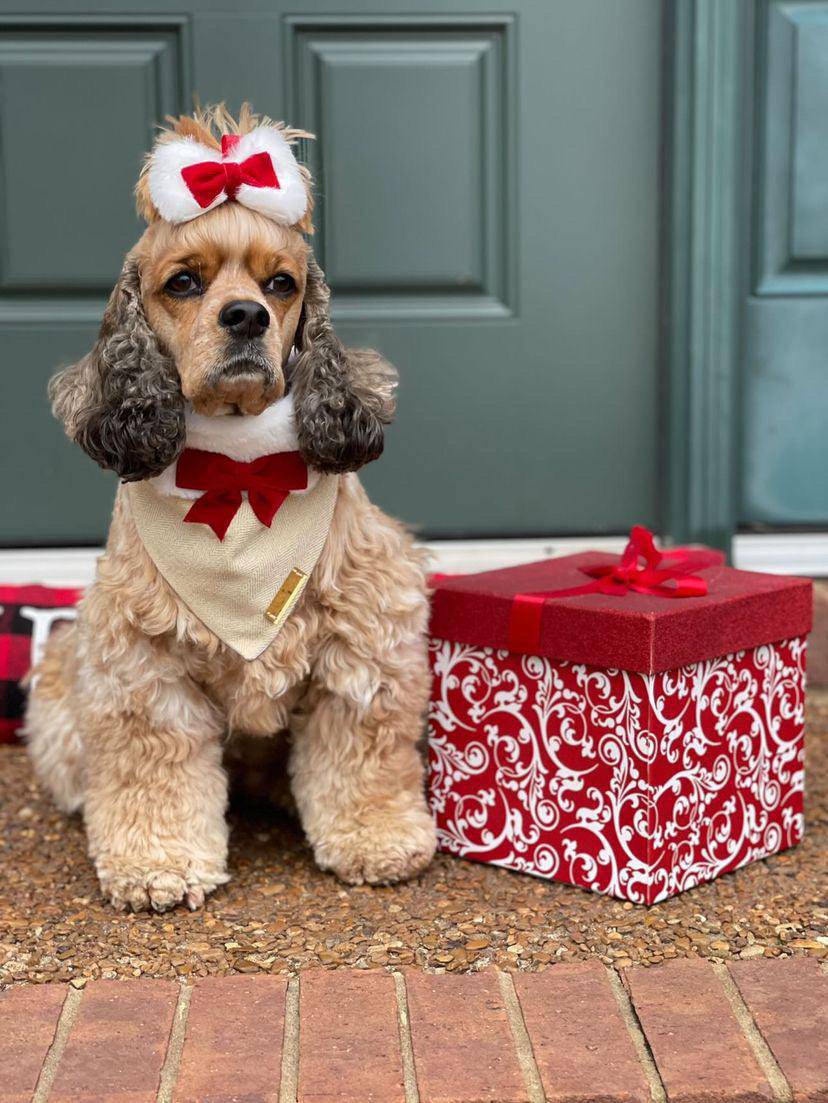 Santa Paws Bandana - Woofiao