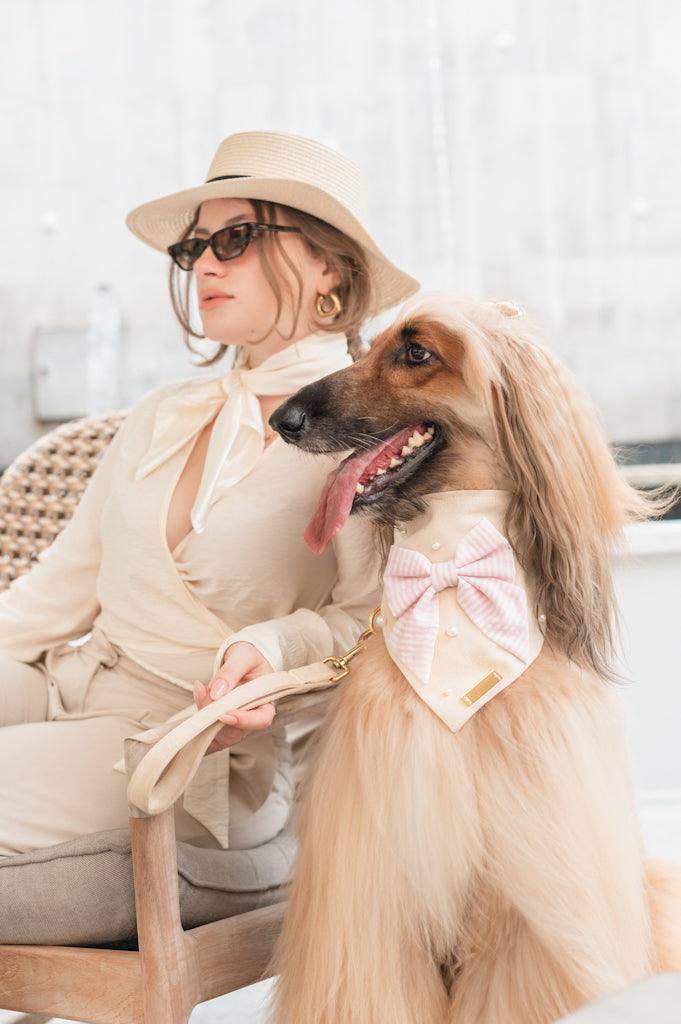 Sunset Boulevard Bandana - Woofiao