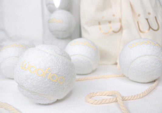 Tennis Balls Toy Set - Woofiao