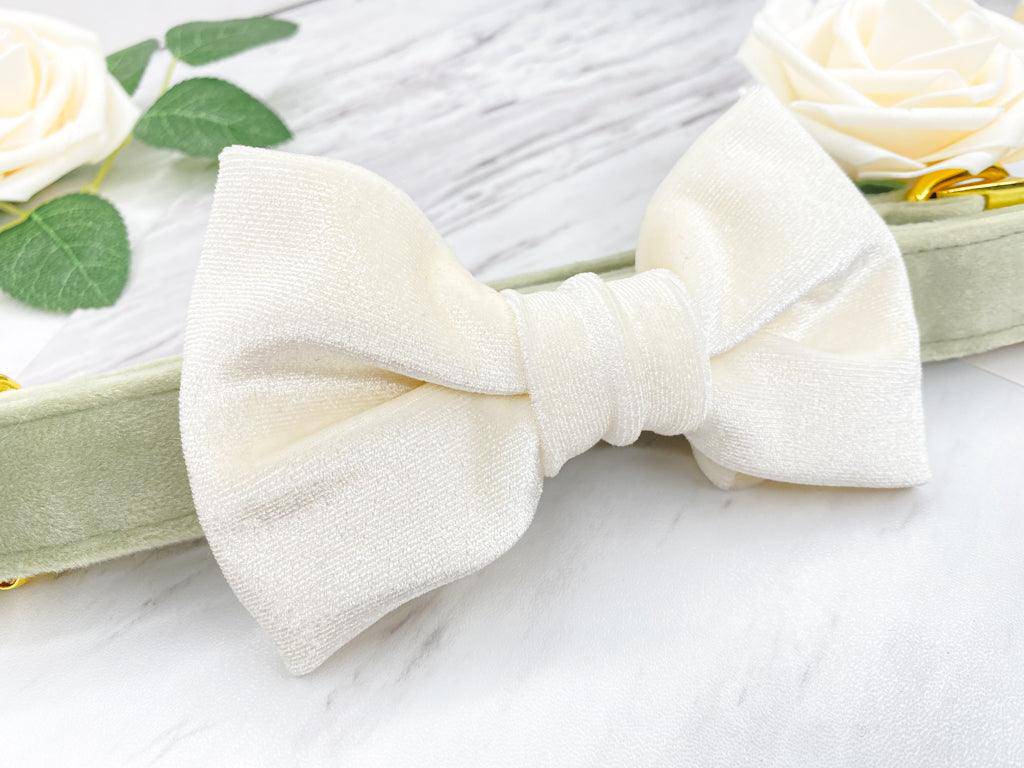 Unconditional Love Velvet Bow Tie - Woofiao