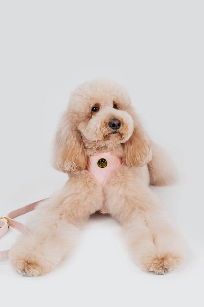 Cotton Pink Velvet Harness