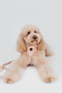 Thumbnail for Cotton Pink Velvet Harness
