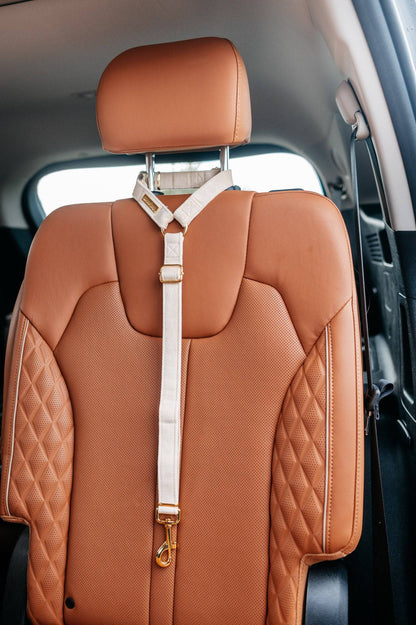 Ivory Velvet Seatbelt