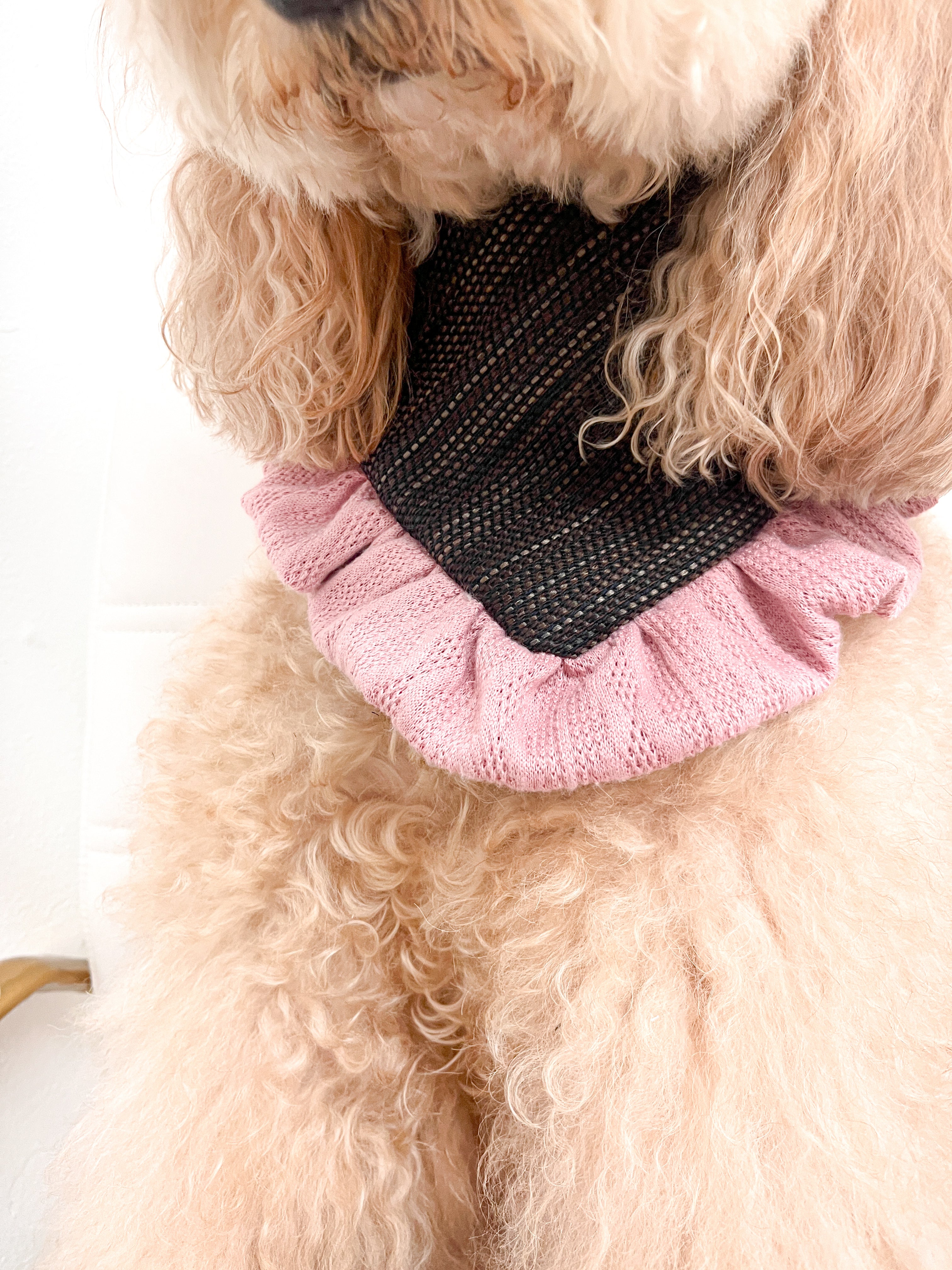 Berry Breeze Bandana