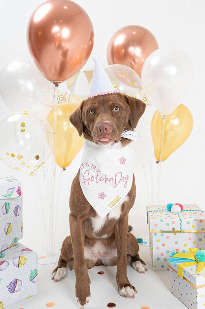 Girl-Birthday and Gotcha Bandana - Woofiao